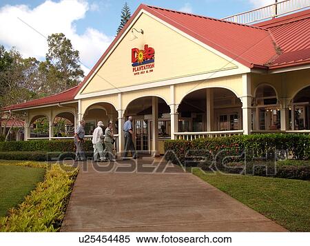 Wahiawa, Oahu, HI, Hawaii, North Shore, Dole Plantation, pineapple View Large Photo Image Stock Photography - Wahiawa, Oahu, HI, Hawaii, North Shore, Dole Plantation, pineapple. Fotosearch