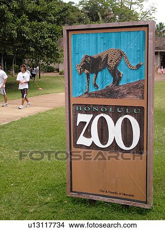 Waikiki, Honolulu, Oahu, HI, Hawaii, Honolulu Zoo View Large Photo Image Picture - Waikiki, Honolulu, Oahu, HI, Hawaii, Honolulu Zoo. Fotosearch
