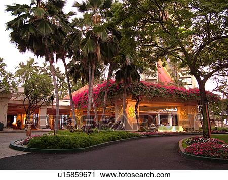 Waikiki, Honolulu, Oahu, HI, Hawaii, Hilton Grand Vacations Club Lagoon Tower View Large Photo Image Stock Image - Waikiki, Honolulu, Oahu, HI, Hawaii, Hilton Grand Vacations Club Lagoon Tower. Fotosearch