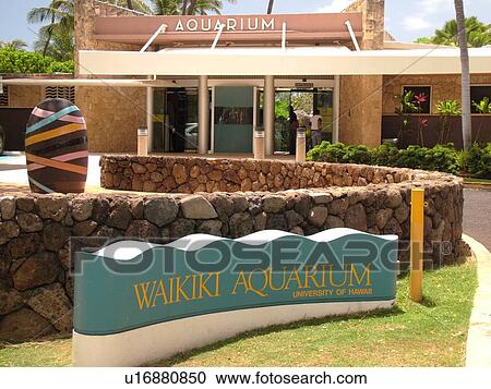 Waikiki, Honolulu, Oahu, HI, Hawaii, Kapi'olani Regional Park, Waikiki Aquarium View Large Photo Image Stock Image - Waikiki, Honolulu, Oahu, HI, Hawaii, Kapi'olani Regional Park, Waikiki Aquarium. Fotosearch