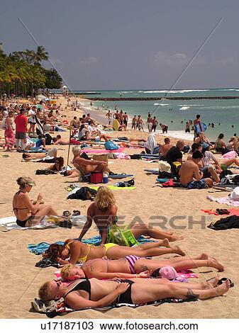 Stock Image -  Waikiki, Honolulu, Oahu, HI, Hawaii, Queen's Surf Beach. Fotosearch