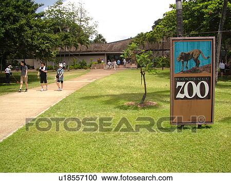 Waikiki, Honolulu, Oahu, HI, Hawaii, Honolulu Zoo View Large Photo Image Stock Image - Waikiki, Honolulu, Oahu, HI, Hawaii, Honolulu Zoo. Fotosearch