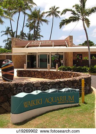 Waikiki, Honolulu, Oahu, HI, Hawaii, Kapi'olani Regional Park, Waikiki Aquarium View Large Photo Image Stock Image - Waikiki, Honolulu, Oahu, HI, Hawaii, Kapi'olani Regional Park, Waikiki Aquarium. Fotosearch
