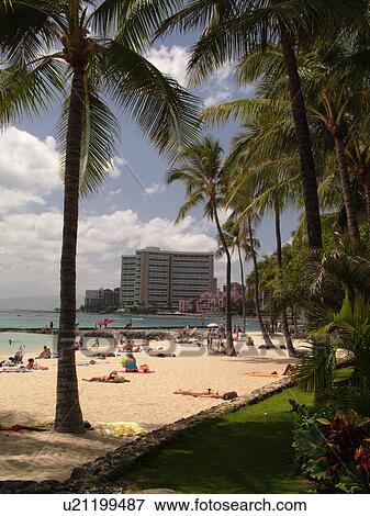 Waikiki, Honolulu, Oahu, HI, Hawaii, Kuhio Beach Park View Large Photo Image Stock Photo - Waikiki, Honolulu, Oahu, HI, Hawaii, Kuhio Beach Park. Fotosearch
