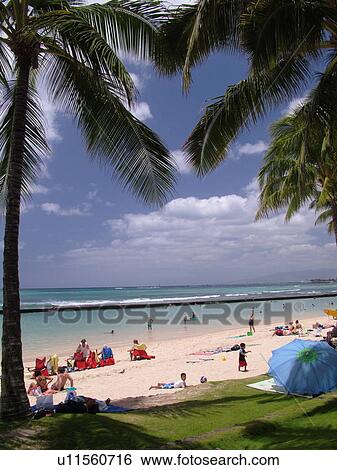 Waikiki, Honolulu, Oahu, HI, Hawaii, Kuhio Beach Park, beachfront View Large Photo Image Stock Photograph - Waikiki, Honolulu, Oahu, HI, Hawaii, Kuhio Beach Park, beachfront. Fotosearch