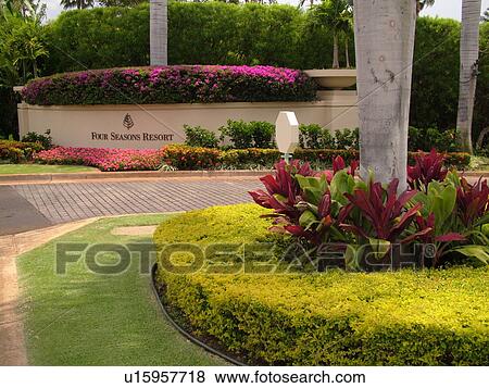 Wailea, Maui, HI, Hawaii, Wailea Point, Four Seasons Resort View Large Photo Image Stock Photo - Wailea, Maui, HI, Hawaii, Wailea Point, Four Seasons Resort . Fotosearch