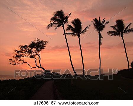 Stock Photo -  Wailea, Maui, HI, Hawaii, Wailea Point, The Fairmont Kea Lani Maui Resort, sunset. Fotosearch