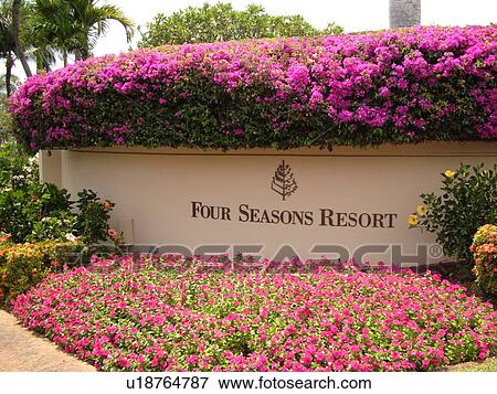 Stock Photo -  Wailea, Maui, HI, Hawaii, Wailea Point, Four Seasons Resort . Fotosearch