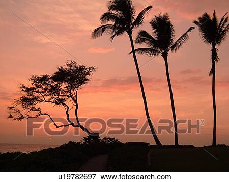 Stock Photo -  Wailea, Maui, HI, Hawaii, Wailea Point, The Fairmont Kea Lani Maui Resort, sunset. Fotosearch