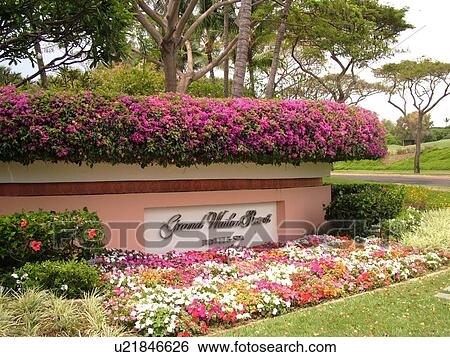 Stock Photograph -  Wailea, Maui, HI, Hawaii, Wailea Point, Grand Wailea Resort Hotel and Spa. Fotosearch