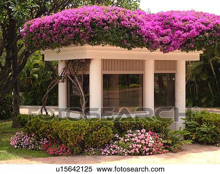 Stock Photography -  Wailea, Maui, HI, Hawaii, Wailea Point, Renaissance Wailea Beach Resort. Fotosearch
