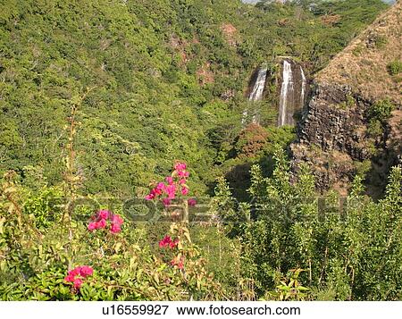 Stock Photo -  Wailua, Kauai, HI, Hawaii, East Shore, Opaekea Falls. Fotosearch