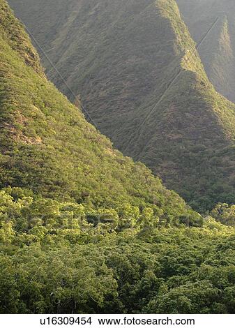 Wailuku, Ioa Valley, Maui, HI, Hawaii, Ioa Valley State Park, West Maui Mountains View Large Photo Image Picture -  Wailuku, Ioa Valley, Maui, HI, Hawaii, Ioa Valley State Park, West Maui Mountains. Fotosearch