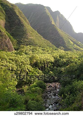 Wailuku, Ioa Valley, Maui, HI, Hawaii, Ioa Valley State Park, West Maui Mountains View Large Photo Image Picture -  Wailuku, Ioa Valley, Maui, HI, Hawaii, Ioa Valley State Park, West Maui Mountains. Fotosearch