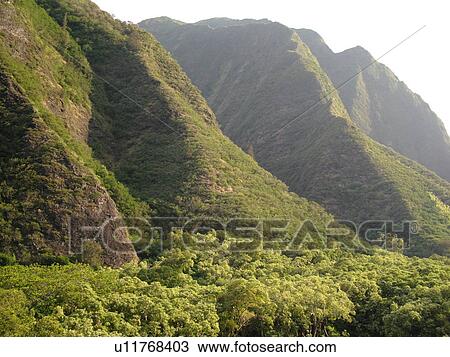 Wailuku, Ioa Valley, Maui, HI, Hawaii, Ioa Valley State Park, West Maui Mountains View Large Photo Image Stock Image - Wailuku, Ioa Valley, Maui, HI, Hawaii, Ioa Valley State Park, West Maui Mountains. Fotosearch