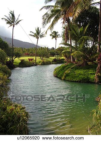 Stock Image -  Wailuku, Ioa Valley, Maui, HI, Hawaii, Maui Tropical Plantation . Fotosearch