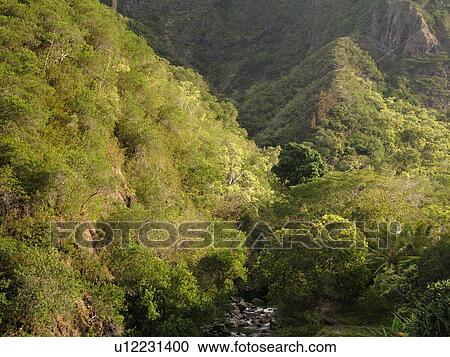 Stock Image -  Wailuku, Ioa Valley, Maui, HI, Hawaii, Ioa Valley State Park, West Maui Mountains. Fotosearch