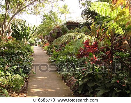 Stock Image -  Wailuku, Ioa Valley, Maui, HI, Hawaii, Maui Tropical Plantation . Fotosearch