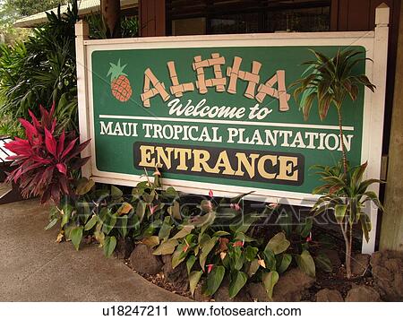 Stock Image -  Wailuku, Ioa Valley, Maui, HI, Hawaii, Maui Tropical Plantation, entrance. Fotosearch