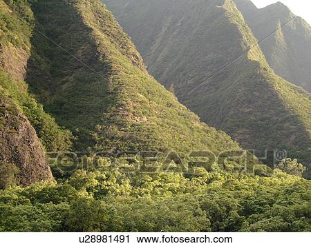 Wailuku, Ioa Valley, Maui, HI, Hawaii, Ioa Valley State Park, West Maui Mountains View Large Photo Image Stock Image - Wailuku, Ioa Valley, Maui, HI, Hawaii, Ioa Valley State Park, West Maui Mountains. Fotosearch