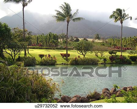 Wailuku, Ioa Valley, Maui, HI, Hawaii, Maui Tropical Plantation View Large Photo Image Stock Image - Wailuku, Ioa Valley, Maui, HI, Hawaii, Maui Tropical Plantation . Fotosearch