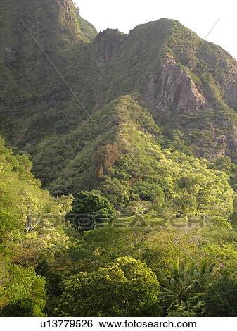 Wailuku, Ioa Valley, Maui, HI, Hawaii, Ioa Valley State Park, West Maui Mountains View Large Photo Image Stock Photograph -  Wailuku, Ioa Valley, Maui, HI, Hawaii, Ioa Valley State Park, West Maui Mountains. Fotosearch
