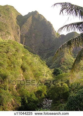 Wailuku, Ioa Valley, Maui, HI, Hawaii, Ioa Valley State Park, West Maui Mountains View Large Photo Image Stock Photography - Wailuku, Ioa Valley, Maui, HI, Hawaii, Ioa Valley State Park, West Maui Mountains. Fotosearch