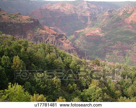 Stock Image -  Waimea, Kauai, HI, Hawaii, Westside, Waimea Canyon, Kokee State Park, Grand Canyon of the Pacific. Fotosearch