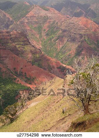 Stock Photo -  Waimea, Kauai, HI, Hawaii, Westside, Waimea Canyon, Waimea Canyon State Park, Grand Canyon of the Pacific. Fotosearch