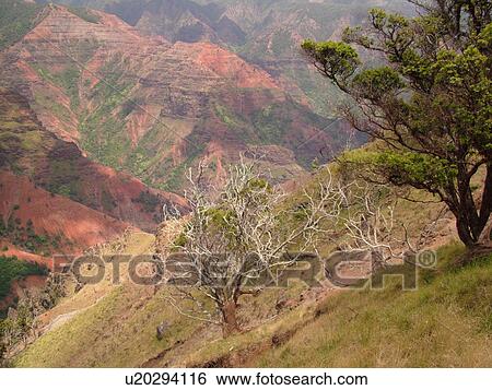 Stock Photograph -  Waimea, Kauai, HI, Hawaii, Westside, Waimea Canyon, Waimea Canyon State Park, Grand Canyon of the Pacific. Fotosearch