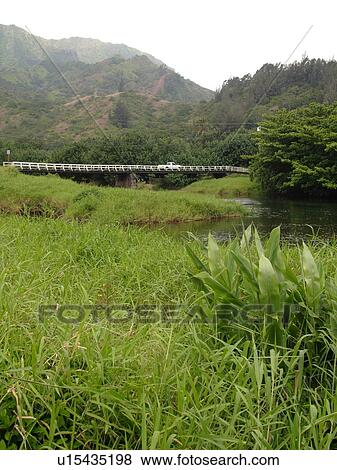 Stock Photo -  Wainiha, Princeville, Kauai, HI, Hawaii, North Shore, Wainiha River, Kuhio Highway, one lane bridge. Fotosearch
