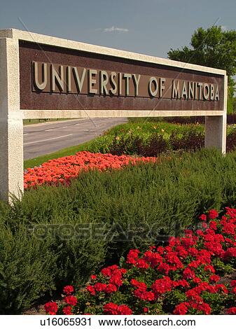 Winnipeg, Canada, MB, Manitoba, University of Manitoba, entrance sign View Large Photo Image Stock Image - Winnipeg, Canada, MB, Manitoba, University of Manitoba, entrance sign. Fotosearch