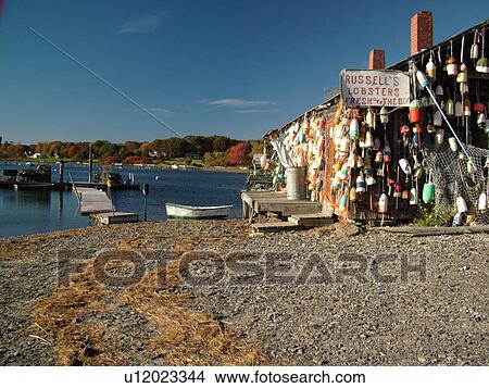 Picture -  York Cliffs, ME, Maine, Cape Neddick Harbor, lobster shack covered with lobster buoys, lobsters for sale fresh off the boat. Fotosearch