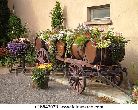 フランス Fleurie ローヌ Alpes ヨーロッパ Beaujolais 地域 木製である ワイン 樽 上に 木製である ワゴン 飾られる で 花 写真館 イメージ館 U Fotosearch