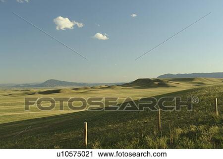 Stock Image -  Albany County, WY, Wyoming, prairie, open range. Fotosearch