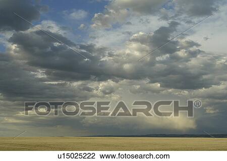 Albany County, WY, Wyoming, prairie, rain clouds, open range View Large Photo Image Stock Image - Albany County, WY, Wyoming, prairie, rain clouds, open range. Fotosearch