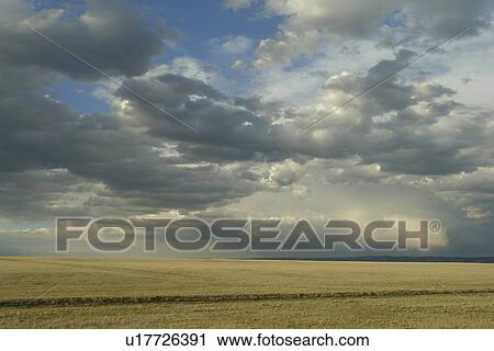 Stock Image -  Albany County, WY, Wyoming, prairie, rain clouds, open range. Fotosearch