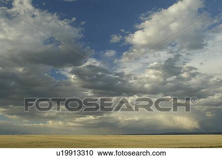 Albany County, WY, Wyoming, prairie, rain clouds, open range View Large Photo Image Stock Image - Albany County, WY, Wyoming, prairie, rain clouds, open range. Fotosearch