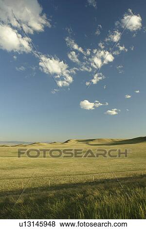 Stock Photo -  Albany County, WY, Wyoming, prairie, open range. Fotosearch