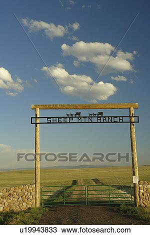 Stock Image -  Albany County, WY, Wyoming, Sheep Mountain Ranch, prairie, open range, gate. Fotosearch