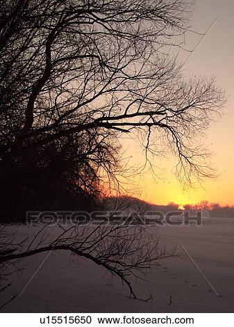 Alexandria, MN, Minnesota, Maple Lake, snow, winter, frozen lake, ice, sunrise View Large Photo Image Stock Image - Alexandria, MN, Minnesota, Maple Lake, snow, winter, frozen lake, ice, sunrise. Fotosearch