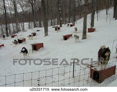 Stock Photography -  Beaupre, Quebec City, Quebec, Canada, Parc Du Mont-Sainte-Anne, resort, sled dogs, dog houses. Fotosearch