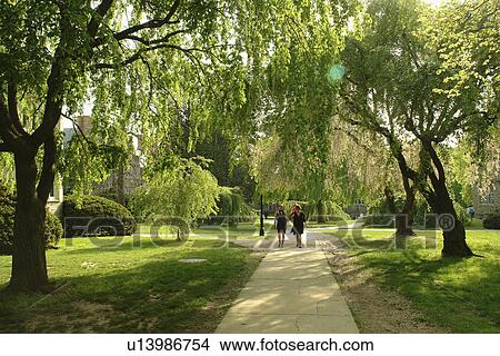 Bryn Mawr, PA, Pennsylvania, Bryn Mawr College, campus View Large Photo Image Picture - Bryn Mawr, PA, Pennsylvania, Bryn Mawr College, campus. Fotosearch