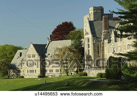 Bryn Mawr, PA, Pennsylvania, Bryn Mawr College, Rhoads Residence and Dining Hall View Large Photo Image Stock Image - Bryn Mawr, PA, Pennsylvania, Bryn Mawr College, Rhoads Residence and Dining Hall. Fotosearch