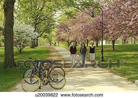 Stock Image -  Bryn Mawr, PA, Pennsylvania, Bryn Mawr College, campus. Fotosearch