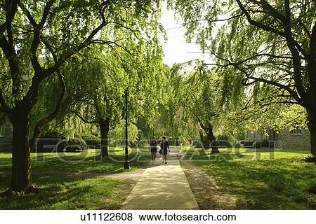 Bryn Mawr, PA, Pennsylvania, Bryn Mawr College, campus View Large Photo Image Stock Photo - Bryn Mawr, PA, Pennsylvania, Bryn Mawr College, campus. Fotosearch