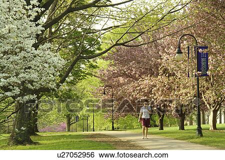 Stock Photograph -  Bryn Mawr, PA, Pennsylvania, Bryn Mawr College, campus. Fotosearch
