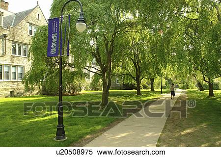 Stock Photography -  Bryn Mawr, PA, Pennsylvania, Bryn Mawr College, campus. Fotosearch