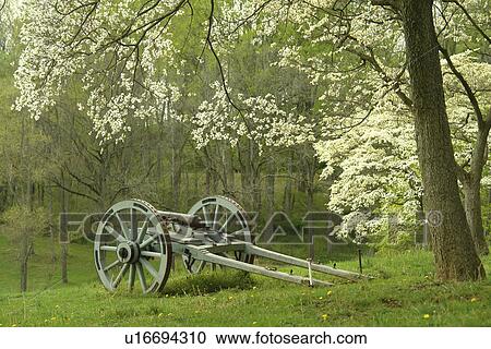 Chadds Ford, PA, Pennsylvania, Chester County, Brandywine Valley, Brandywine Battlefield Park, cannon, dogwood trees View Large Photo Image Stock Image - Chadds Ford, PA, Pennsylvania, Chester County, Brandywine Valley, Brandywine Battlefield Park, cannon, dogwood trees. Fotosearch