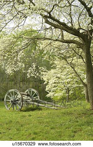 Stock Photo -  Chadds Ford, PA, Pennsylvania, Chester County, Brandywine Valley, Brandywine Battlefield Park, cannon. Fotosearch